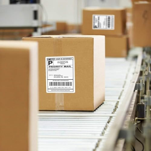 Immuson 4 x 6 Direct Thermal Shipping Labels with Perforations, Label Paper for Thermal Label Printer, Shipping Labels Compatible with Nelko MUNBYN JADENS Phomemo POLONO Rollo Printer,100 Labels