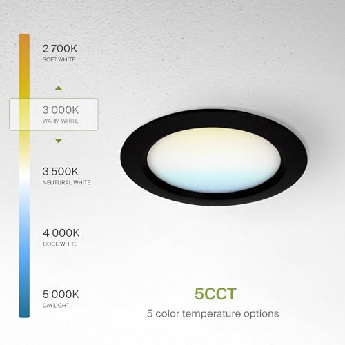 ASD Recessed Lighting 6 Inch Round Commercial LED Downlight, Mini Panel Baffle Trim, 15W 120-277V, 5 CCT 2700K/3000K/3500K/4000K/5000K, Dimmable LED Ceiling Light Fixture, Black, ETL, 6 Pack - color: 6 Pack, size: 6 Inch Black