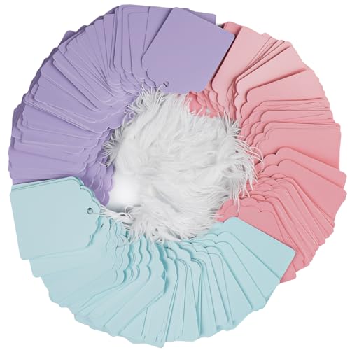 Uniclife 200 Pcs Price Tags with String Attached 1 3/4 Inch Writable Colored Hang Tag String Tags for Pricing Clothing Jewelry Price Display Labels Blank Merchandise Marking Paper Tag, 1 3/4" x 1 3/8" - color: Multicolored