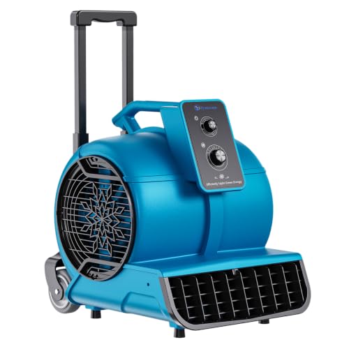Air Mover 1 HP 4000 CFM Air Mover Blower Fan, Carpet Dryer, Floor Dryer Fan - color: Blue