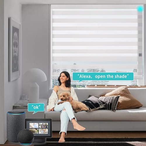 Changshade Custom Smart Motorized Zebra Roller Blinds Shades for Indoor Windows Doors Remote Control, Cordless Electric Automatic Customized Size Work with Alexa, Google Home, Apple Homekit（White） - color: Light White, size: Smart-Custom Size
