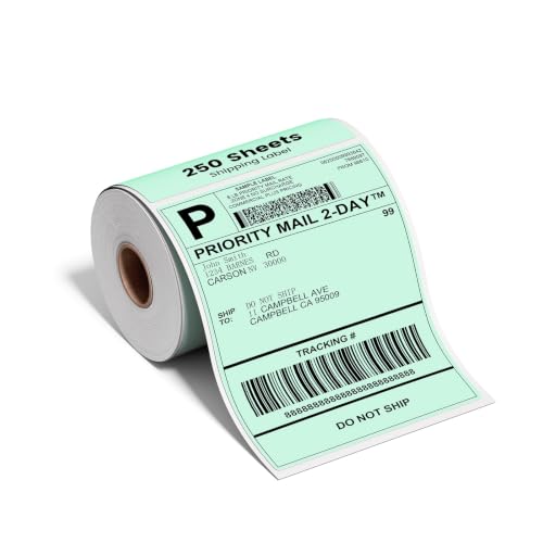 Phomemo 4x6 Green Thermal Label, Shipping Labels Pack of 250 4x6 Roll Labels, Compatible with Phomemo, Zebra, Rollo, Jadens and Other Thermal Printers - color: Green-250