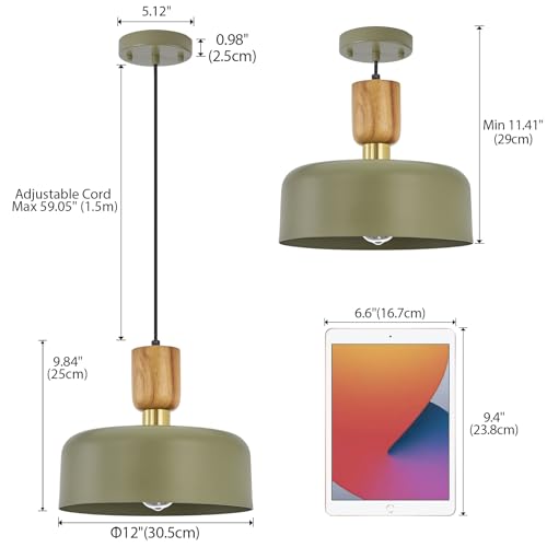 TeHenoo Contemporary Pendant Lighting, 12 inch, Green - color: Deep Green