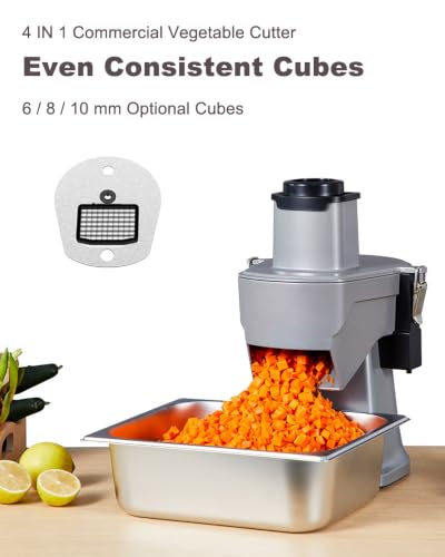 4 in 1 Electric Vegetable Chopper 110V Electric Vegetable Slicer Dicer Shredder & Strip Cutter with Multi Stainless Steels Blades 200W Electric Vegetable Slicer