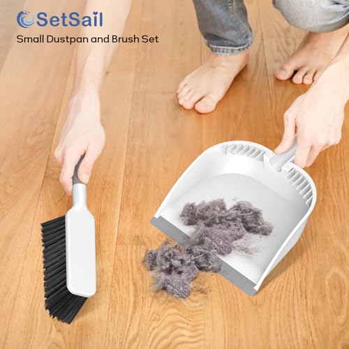 SetSail Small Dustpan and Brush Set with Comb Teeth Clean Pet Hair, White - color: White