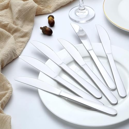 Pleafind 36 Pcs Stainless Steel Dinner Knives - 9.1 Inch Premium Table Cutlery, Durable Butter Knives, Mirror Polished Silverware Flatware for Home Kitchen Restaurant Use, Dishwasher Safe