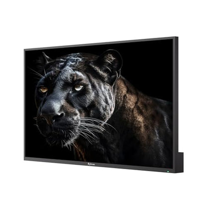 SYLVOX 65 inch Outdoor Mini-LED QLED TV, 4K Ultra HD Smart Google TVs, 2000 Nits Full Sun, Anti-Glare Screen, 120Hz Refresh Rate, IP55 Waterproof, Dual 30W Dolby Atmos Speaks (Cinema/2025) - size: 65-inch, style: Cinema