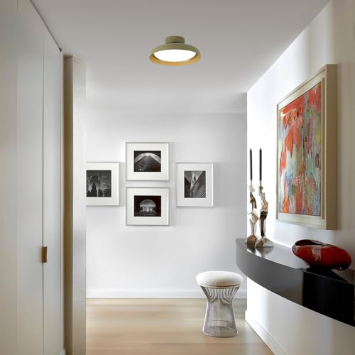 BISAMIYA Modern LED Ceiling Light, Brass Accent, 12.6 inch - color: Green