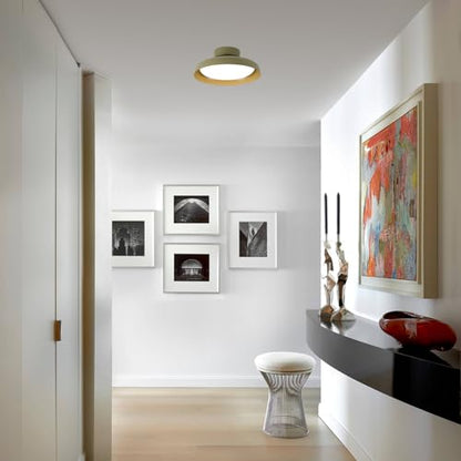 BISAMIYA Modern LED Ceiling Light, Brass Accent, 12.6 inch - color: Green
