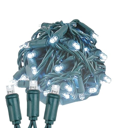 Novelty Lights 50ft 100 LED Pure White Christmas String Lights, Green Wire - color: Pure White