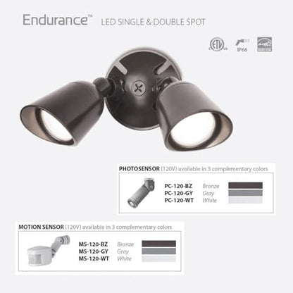 WAC Lighting, Endurance Double Spot Energy Star 30W LED Spot Light 3000K in Graphite - color: Architectural Graphite, style: 3000K