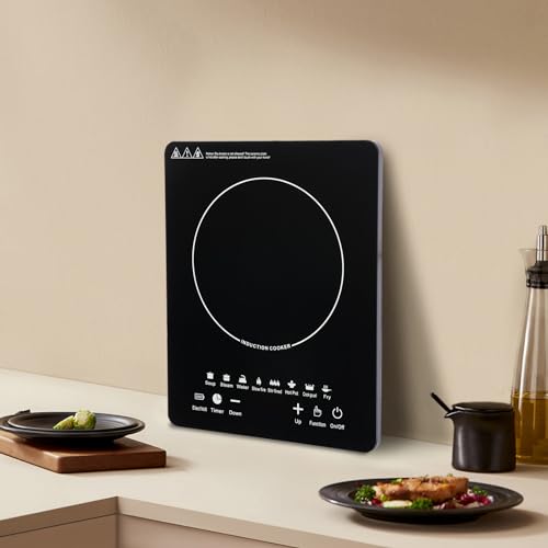 Portable Induction Burner, 110v 750w Electric Induction Burner with Touch Panel, LED Display Screen, 140-464℉ Adjustable Temp & Timer Commercial Hot Plate Cooker