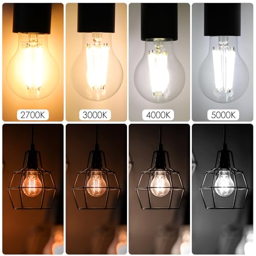 Energetic Dimmable A19 LED Edison Light Bulb, 12W Equivalent 100W, 1600LM High Brightness, 5000K Daylight, Clear Antique LED Filament Bulb for Home, Bathroom, E26 Standard Base, 6-Pack - size: 6 Count ( Pack of 1)