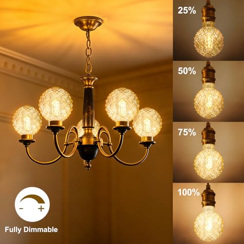 Dimmable Decorative Light Bulbs 60 Watt Pineapple LED Edison Bulb - color: 6w-2700k-amber