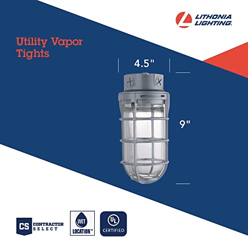 Lithonia Lighting Incandescent Vapor Tight Jelly Jar Light 150W 120V Grey - size: 150W Max, style: Ceiling Mount