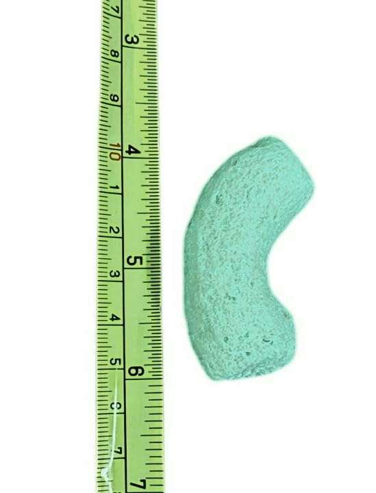 FunPak Plant Based Biodegradable Packing Peanuts 1.5 cu ft Bag Compostable (Green Noodles) - color: Green Noodles