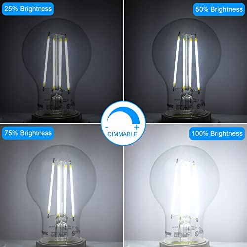 Energetic A19 LED Edison Light Bulb, E26 Dimmable, 60W Equivalent,6 Pack - size: 6 Count (Pack of 1)