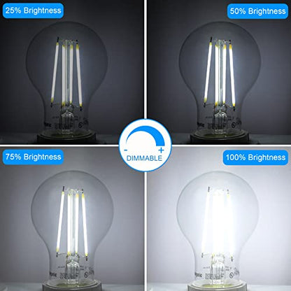 Energetic A19 LED Edison Light Bulb, E26 Dimmable, 60W Equivalent,6 Pack - size: 6 Count (Pack of 1)
