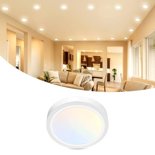 libtit 1Pack 4.7 Inch Small LED Ceiling Lights Flush Mount, 3000K 4000K 6500K Adjustable, 7W 700LM White Round Disk Light Fixture for Closet Basement Bathroom Hallway Kitchen Office Garage - color: White, size: 4.7In-1Pack