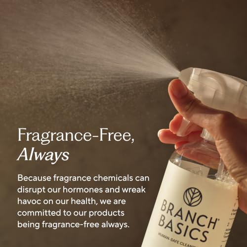 Branch Basics All-Purpose Cleaning Kit: Refillable Surface Cleaner
