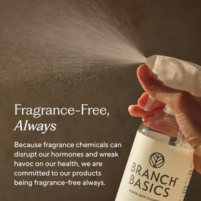 Branch Basics All-Purpose Cleaning Kit: Refillable Surface Cleaner