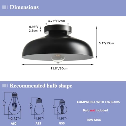 DIRYZON Flush Mount Ceiling Light, 12-Inch Industrial Black Ceiling Light - color: Black