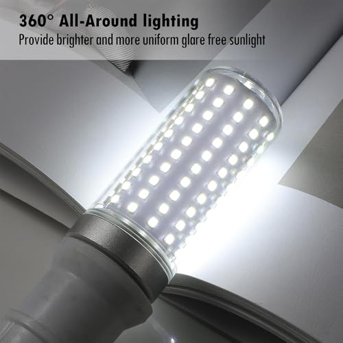 E26 LED Bulbs, 30W Equivalent 250W, 2 Pack 6000K Daylight White - color: 6000k Daylight White Light