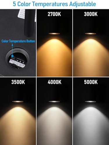 LEONLITE 2-Pack 5CCT 6 Inch LED Tube Architectural Pendant Downlight, Black - color: Black