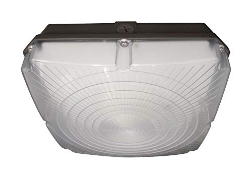 Nuvo 65/141 LED Canopy LED Canopy Fixture 40W, 5000K, 120-277V
