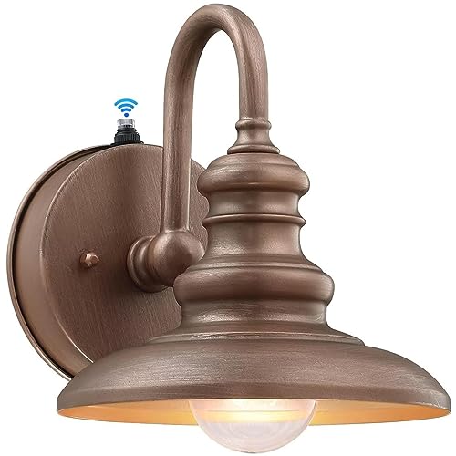 LONEDRUID Dusk to Dawn Sensor Rustic Outdoor Gooseneck Barn Light Fixture - color: Bronze