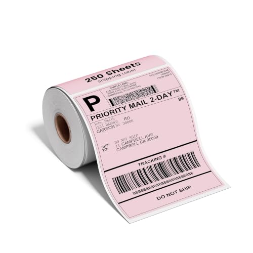 Phomemo Pink 4x6 Thermal Label, Shipping Labels Pack of 250 4x6 Roll Labels, Compatible with Phomemo, Zebra, Rollo, Jadens and Other Thermal Printers - color: Pink-250