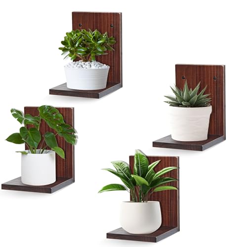 Small Wall Shelf Modern,Wooden Mini Floating Shelves,Indoor Wall Mounted Plants Shelf L Shaped,Midcentury Display Decorative Holder for Gallery Living Room Bedroom Porch,Pine,4 Pack(Rustic Walnut) - color: Rustic Walnut, size: Set of 4