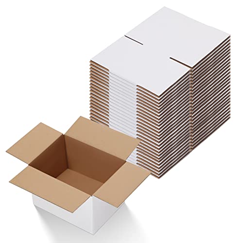 Calenzana 8x6x4 Shipping Boxes Set of 25, White Corrugated Cardboard Box for Mailing Packing Gifts Small Business - size: 8x6x4, style: 25 Pack