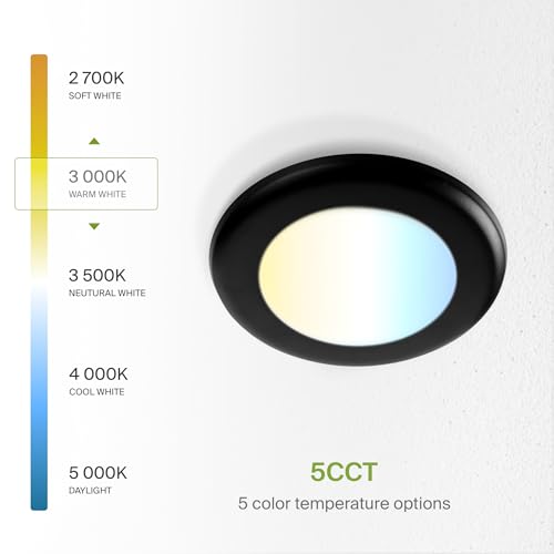 ASD 12 Pack Black LED Disk Lights 4 Inch, 5CCT Flush Mount Ceiling Light - color: Black, size: 12 Pack
