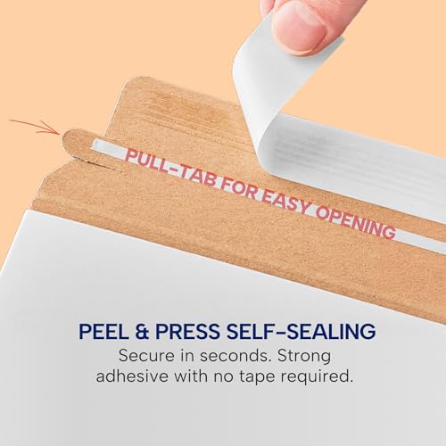 BOX USA Rigid Mailers 12.75 x 15 (100-Pack) - Cardboard Mailer Envelopes for Photos, Artwork, Certificates - Stay Flat - size: 12.75" x 15" (100-Pack)