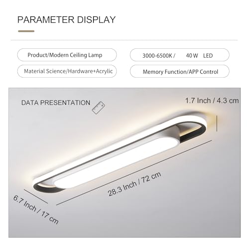 Modern LED Smart Ceiling Light,28.3" Flush Mount Ceiling Lamp, 40W Dimmable Linear Metal Chandelier Light Fittings for Kitchen Laundry Garage Dining Room Office Hallway Closet Aisle - color: Dimmable, size: 28.3 Inch