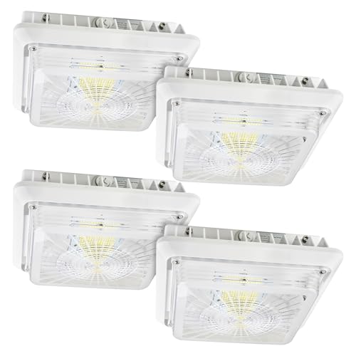 55W LED Parking Garage Canopy Light, 30W/40W/55W Selectable, 3CCT Dimmable - size: 4-Pack