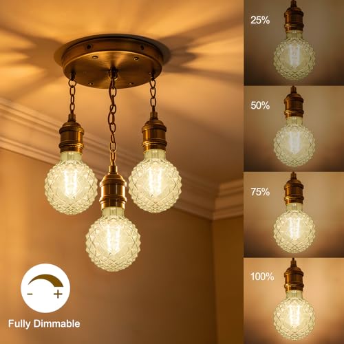 Dimmable Decorative Light Bulbs 60 Watt Pineapple LED Edison Bulb - color: 6w-2700k-clear