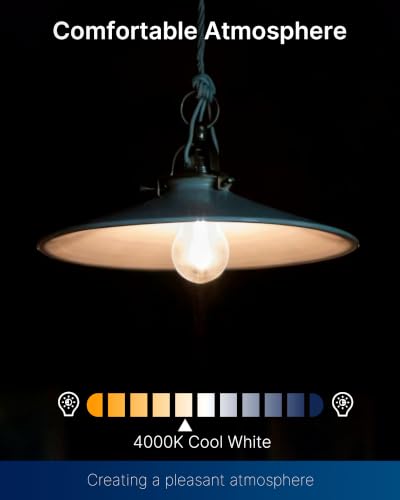 FLSNT 60W Equivalent Dimmable A19 LED Light Bulbs, Efficient 7W, 600Lumens, 2200K Warm White, CRI82, E26 Standard Base, 15000 Hours, LED Filament Light Bulbs, Amber Clear Glass, 8 Pack - color: 60w 4000k Cool White, size: 8 Count (Pack of 1)