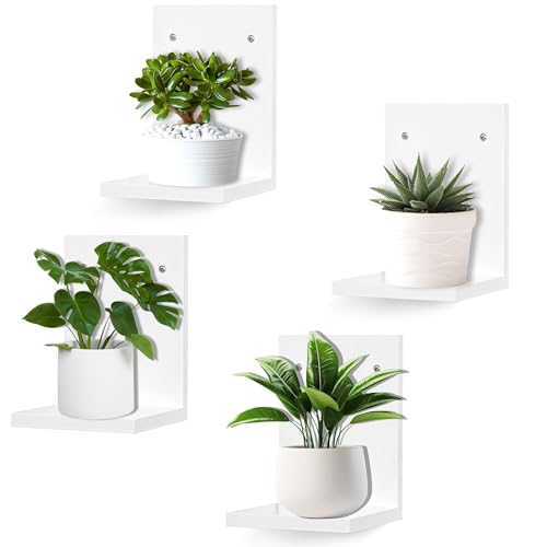 PHOENANCEE Small Wall Shelf Modern,Wooden Mini Floating Shelves,Indoor Wall Mounted Plants Shelf L Shaped,Midcentury Display Decorative Holder for Gallery Living Room Bedroom Porch,Pine,4 Pack(White) - color: White, size: Set of 4