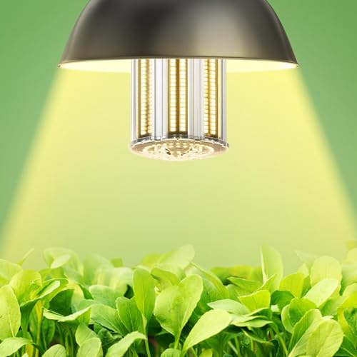 DragonLight Upgraded 240W Commercial Grade Corn LED Light Bulb Fanless (1200 Watt MH/HPS Replacement) E39 Mogul Base 4000K 32,400LM - Good for High Bay Area Lighting and Indoor Plants Growing - size: Large