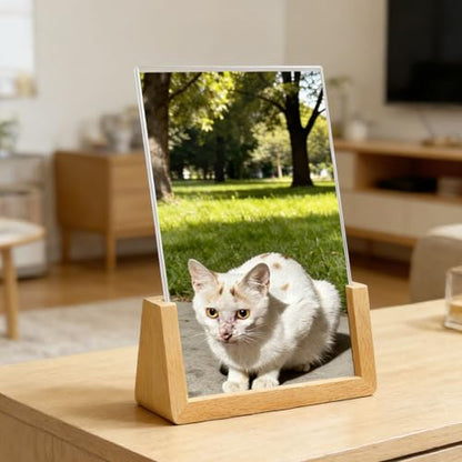 2 Pack 4x6 U-shaped Acrylic Sign Holder with Wood Base Menu Holder Flyer Holder Poster Stand Photo Stand (4*6) - size: 4*6