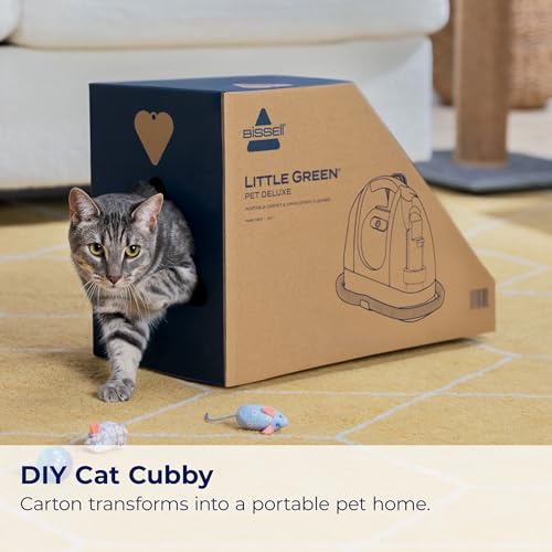 BISSELL Little Green Pet Deluxe Portable Carpet Cleaner, 3353 - style: Little Green Deluxe