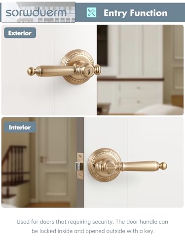 1 Pack Champagne Bronze Door Lever with Lock and Key Entry Door Handle Door Lever Bedroom and Bathroom Zinc Alloy - color: Champagne Bronze