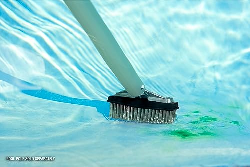 Poolmaster 5-Inch Stainless Steel Pool Algae Detail Brush, Heavy-Duty Aluminum Back, for Gunite Concrete Pools and Spas, Small Narrow Head for Corners, Steps and Tight Areas 5-Inch (Pack of 12) - size: 5-Inch (Pack of 12)