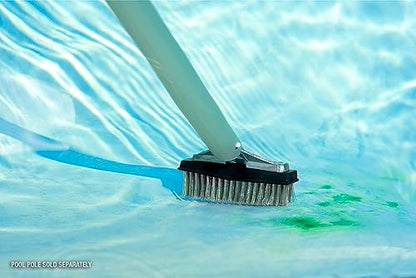 Poolmaster 5-Inch Stainless Steel Pool Algae Detail Brush, Heavy-Duty Aluminum Back, for Gunite Concrete Pools and Spas, Small Narrow Head for Corners, Steps and Tight Areas 5-Inch (Pack of 12) - size: 5-Inch (Pack of 12)