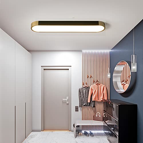 Tioolo Modern Ceiling Light, Dimmable LED Ceiling Light with Remote, 27.5in - color: Black+Gold/36W, Painted