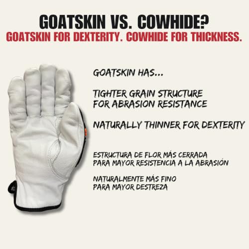 Cestus 3219, Goatskin Leather Impact Gloves, ANSI A5 Cut Resistant - size: XX-Large