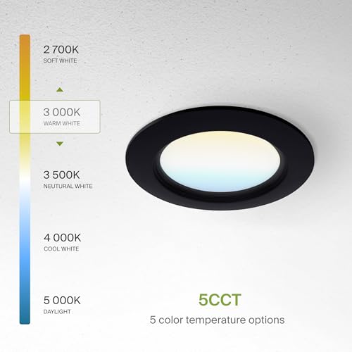 ASD Recessed Lighting 4 Inch, Round Commercial LED Downlight, Mini Panel Baffle Trim, 12W 120-277V, 5 CCT 2700K-5000K, Dimmable LED Ceiling Light Fixture, Black, ETL, 6 Pack - color: 6 Pack, size: 4 Inch Black