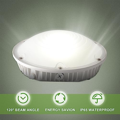 Round LED Canopy Light, 30/40/60W Selectable, 5000K, Surface Mount